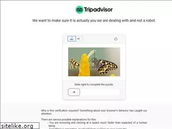 https://tripadvisor.com